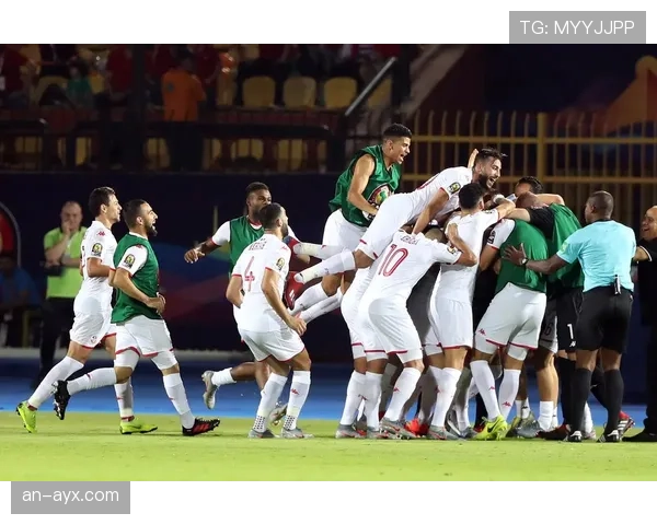 突尼斯勇夺非洲杯冠军，展现强劲竞争力与稳健表现