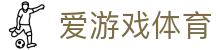 爱游戏体育ayx官网 - 独特全球赛事深度解读
